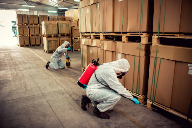 Best Bed Bug Extermination  in Orchard Homes, MT