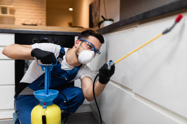 Best Cockroach Control Services  in Orchard Homes, MT