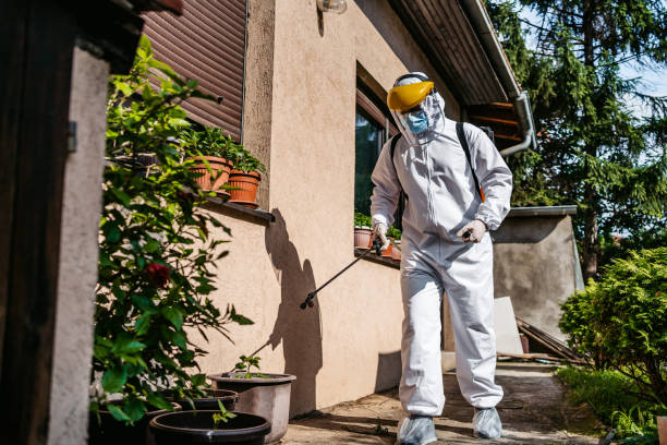 Best Pest Prevention Services  in Orchard Homes, MT