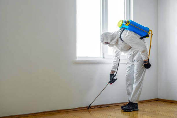 Pest Control Cost in Orchard Homes, MT
