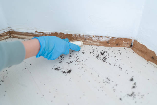  Orchard Homes, MT Pest Control Pros